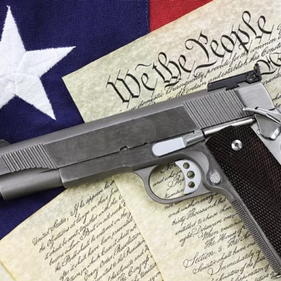 gun-constitution