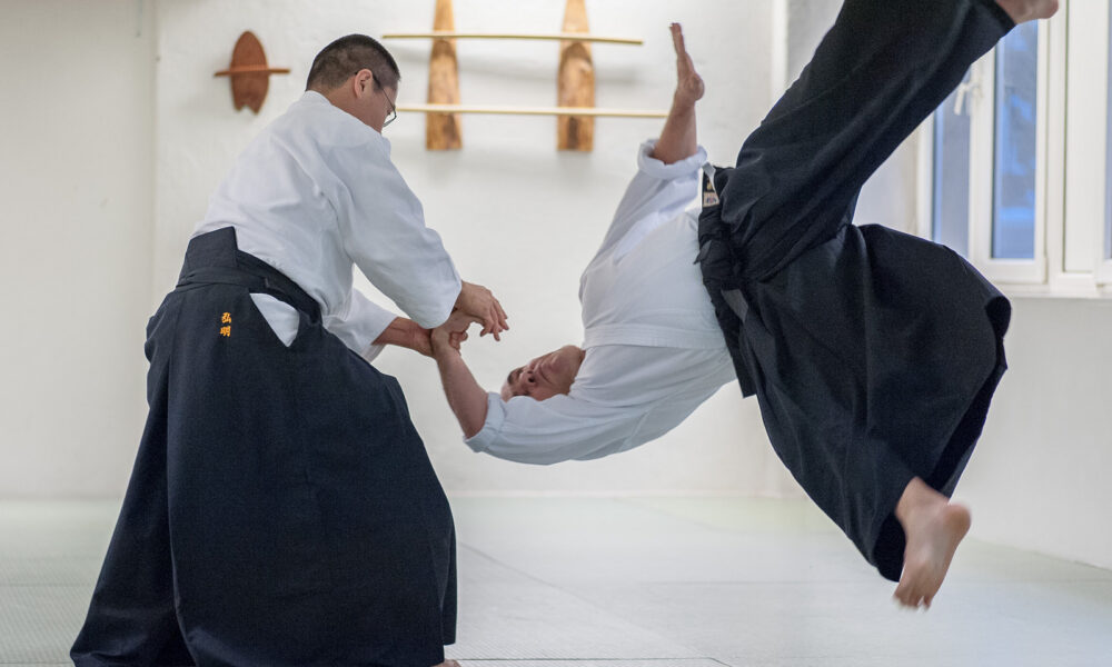 Aikido lesson