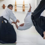 Aikido lesson